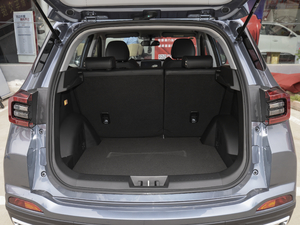 20201.5L CVTr(sh)а g