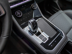 2020290TGDI DCTӢ QU