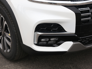 2020290TGDI DCTA 6 ^