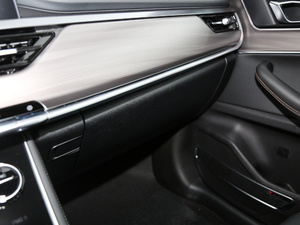 2020290TGDI DCTA 6 g