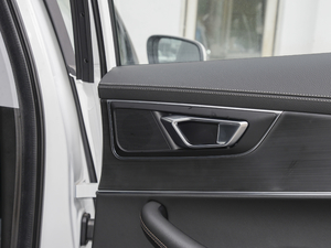 2020290TGDI DCTrа g