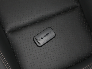 2020290TGDI DCTr(sh)а ܇耳