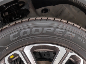 2020290TGDI DCTA ݆̥Ʒ