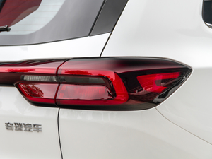 2020290TGDI DCTA (x)(ji)^