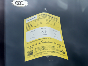 2020290TGDI DCTA ŲͺĘ(bio)ʾ