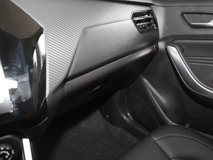 2021PLUS 1.5L CVTMdӰ п؅^(q)