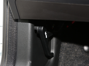 2021PLUS 1.5L CVTʹt g