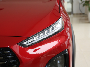 2021款PLUS 1.5L 手动痛快红枣版 细节外观