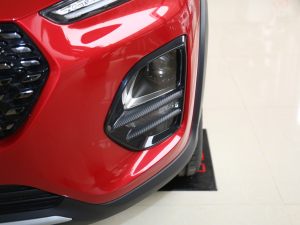 2021款PLUS 1.5L 手动痛快红枣版 细节外观