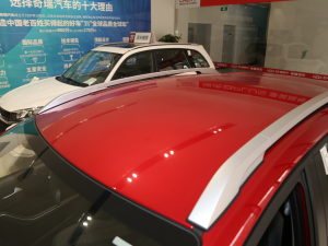 2021款PLUS 1.5L CVT痛快红枣版 车顶