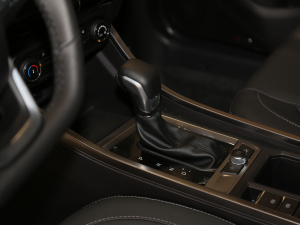 2021PLUS 1.5L քʹt п؅^(q)