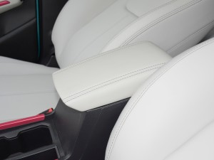 2021PLUS 1.5L CVTŮ g