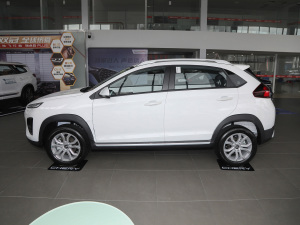 2021Ŀ PLUS 1.5L ֶʹ ࣨ