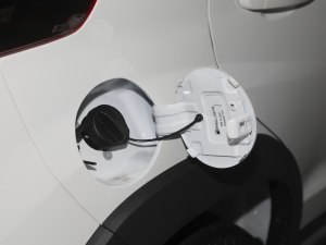 2021Ŀ PLUS 1.5L քʹt w