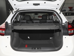 2021Ŀ PLUS 1.5L քʹt g