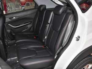 2021Ŀ @ʯ 1.5L ք(dng)2 g