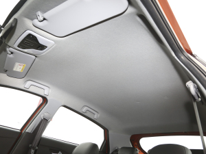 2021Ŀ PLUS 1.5L CVTʹt- п؅^