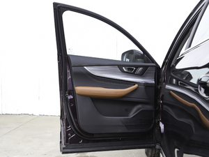 2021290TGDI DCT^œ g