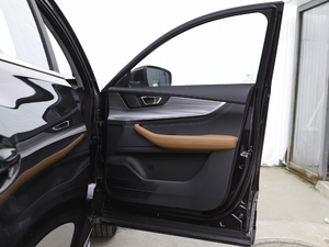 2021290TGDI DCT^œ g