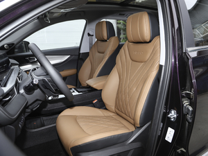 2021290TGDI DCT^œ g