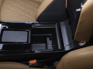 2021290TGDI DCT^œ g