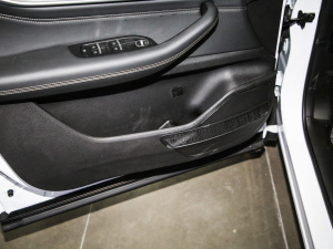 2021290TGDI DCTа ǰTg