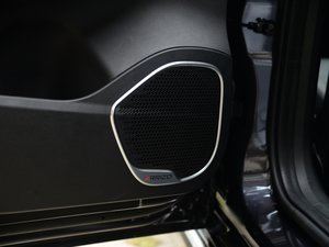 2021С 1.5T CVTPLUS g