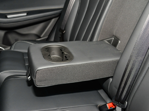 2021СAI 1.5T CVTPLUS 