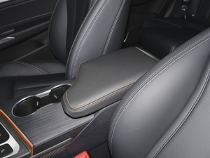 2021СAI 1.5T CVTPLUS g