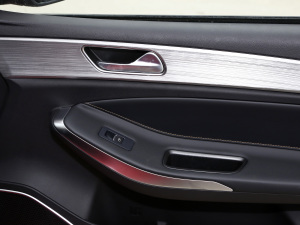 2021СAI 1.5T քPLUS g