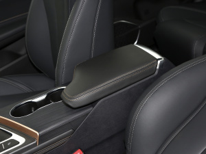 2021СAI 1.5T քPLUS 