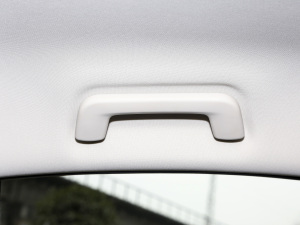 2021СAI 1.5T քPLUS g