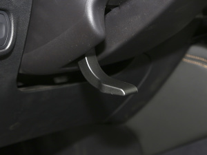 2021СAI 1.5T քPLUS g