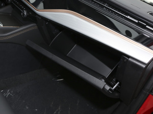 2021СAI 1.5T քPLUS 