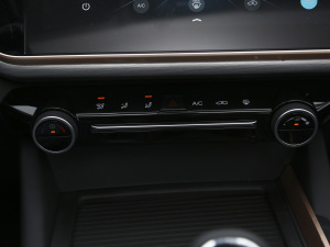 2021СAI 1.5T քPLUS {{(ji)