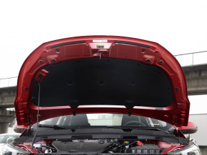 2021СAI 1.5T ք(dng)PLUS 