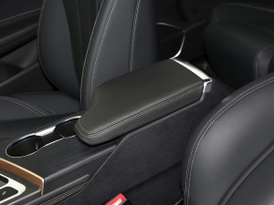 2021СAI 1.5T CVTPLUS g