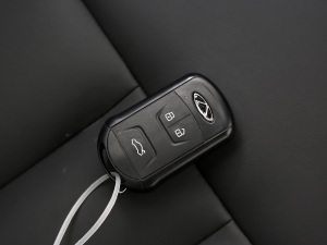 2021СAI 1.5T CVTPLUS 