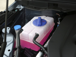 2021СAI 1.5T CVTPLUS 