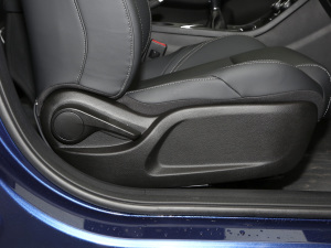 2021СAI 1.5L ք(dng)PLUS g