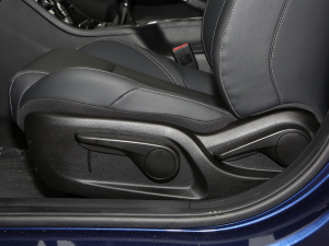 2021СAI 1.5L ք(dng)PLUS g