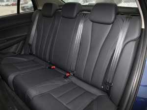 2021СAI 1.5L ք(dng)PLUS g