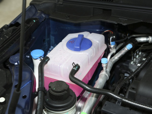 2021СAI 1.5L ֶPLUS 