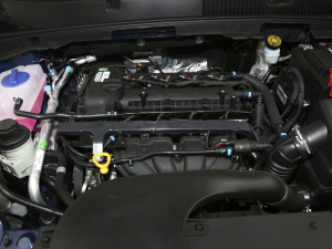 2021СAI 1.5L ֶPLUS 