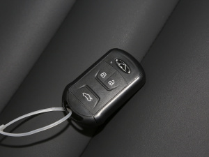 2021СAI 1.5L ֶPLUS Կ