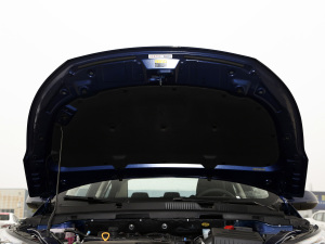 2021СAI 1.5L ֶPLUS 