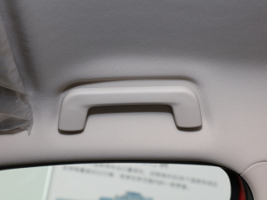 2021С 1.5T CVTPLUS g