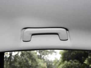 2021СAI 1.5L CVTPLUS g