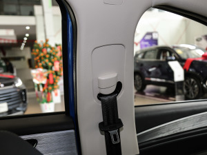 2021СAI 1.5L CVTPLUS g