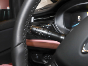 2021С 1.5T CVT۰ п؅^